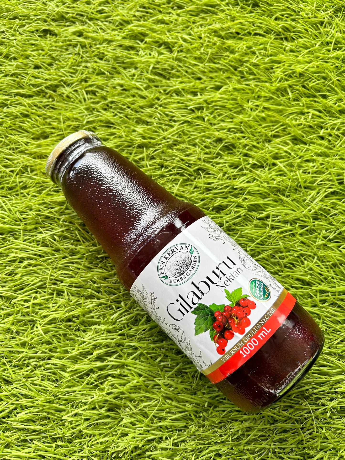 Emr Kervan - Gilaburu Suyu