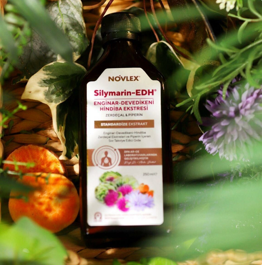 Novlex® Silymarin-EDH Ekstresi -250 ML